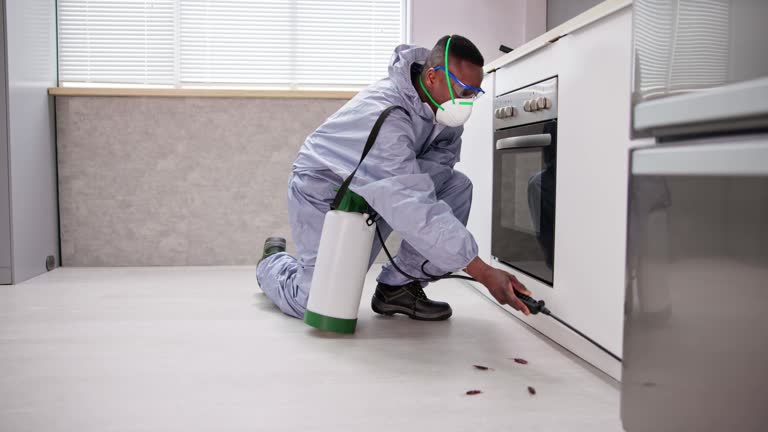 Best Pest Control for Multi-Family Homes  in Bloomfield, NY